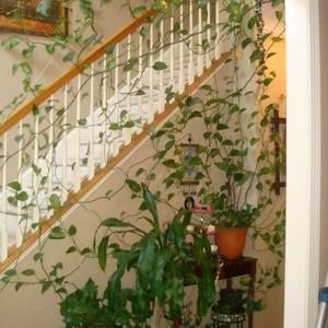 Meet your Posher, Ayesha